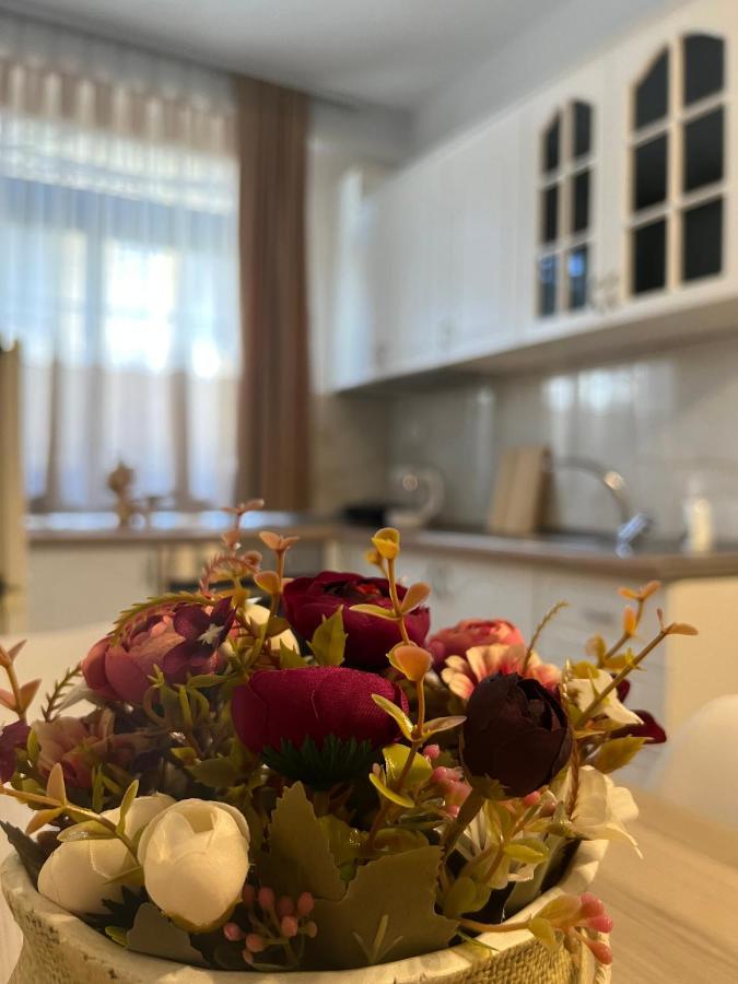 Sael Apartments Shkoder Luaran gambar